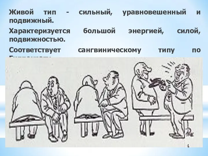 Живой тип - сильный, уравновешенный и подвижный. Характеризуется большой энергией, силой, подвижностью.