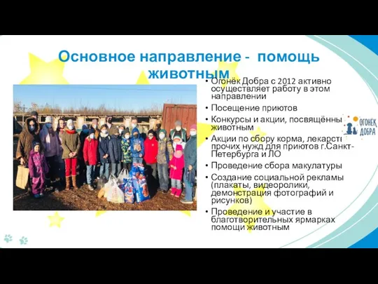 Основное направление - помощь животным Огонёк Добра с 2012 активно осуществляет работу