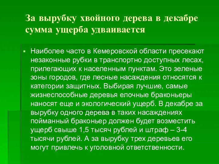 За вырубку хвойного дерева в декабре сумма ущерба удваивается Наиболее часто в