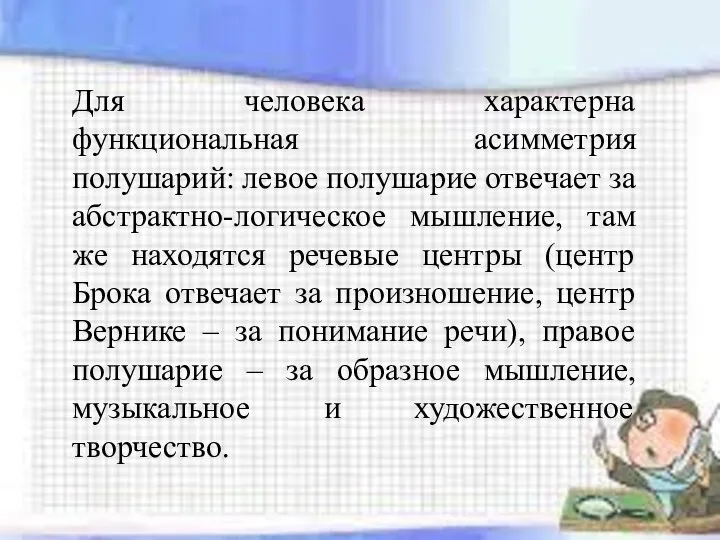 Для человека характерна функциональная асимметрия полушарий: левое полушарие отвечает за абстрактно-логическое мышление,