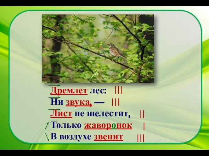 Дремлет лес: Ни звука, — Лист не шелестит, Только жаворонок В воздухе