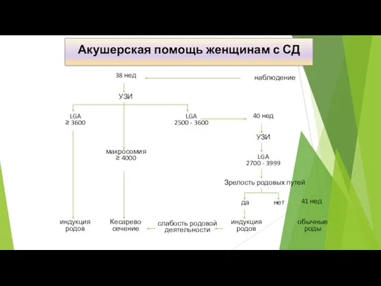 38 нед наблюдение LGA ≥ 3600 LGA 2500 - 3600 40 нед