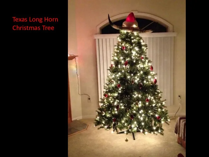 Texas Long Horn Christmas Tree