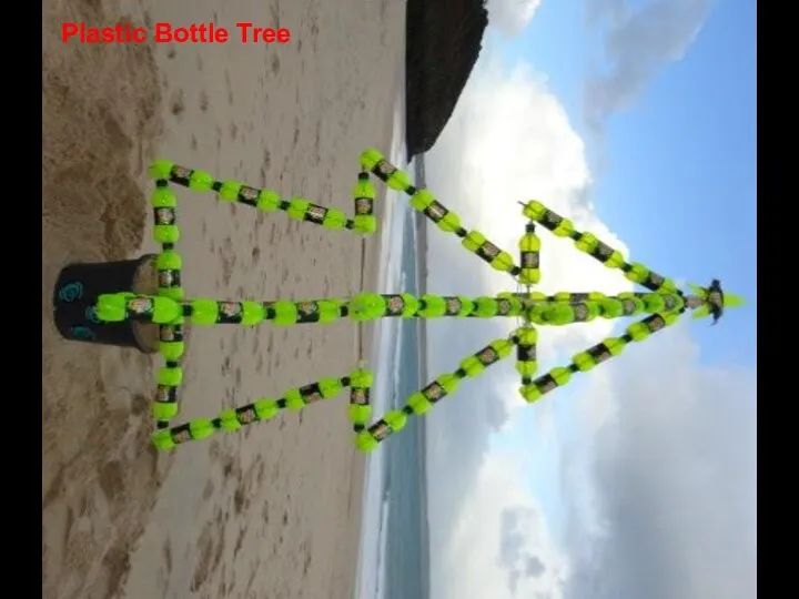 Plastic Bottle Tree