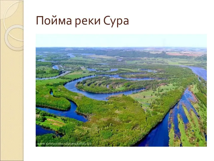 Пойма реки Сура