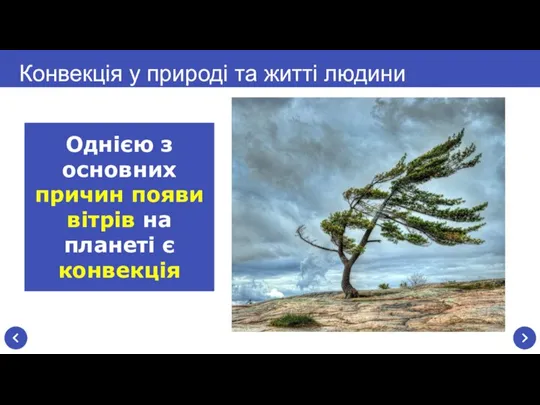 Конвекція у природі та житті людини Однією з основних причин появи вітрів на планеті є конвекція