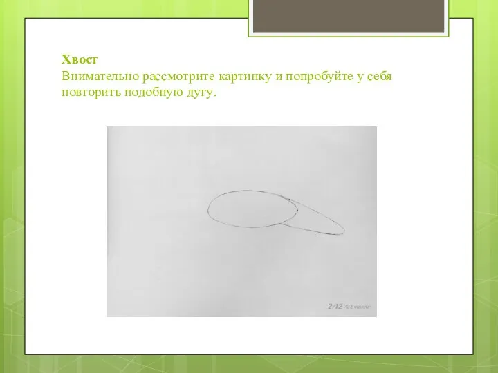 Хвост Внимательно рассмотрите картинку и попробуйте у себя повторить подобную дугу.