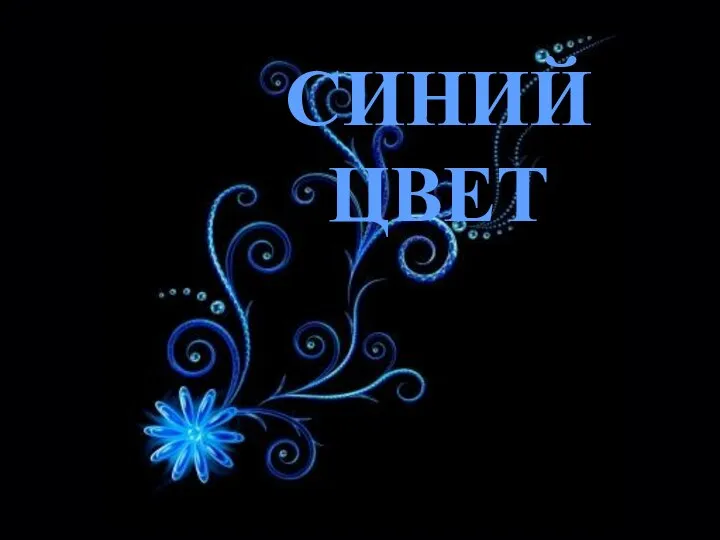 СИНИЙ ЦВЕТ