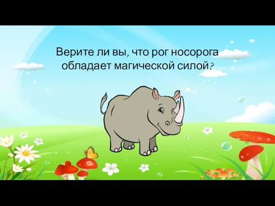 Верите ли вы, что рог носорога обладает магической силой?