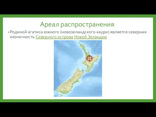 Ареал распространения Родиной агатиса южного (новозеландского каури) является северная оконечность Северного острова Новой Зеландии