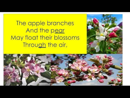 The apple branches And the pear May float their blossoms Through the air,