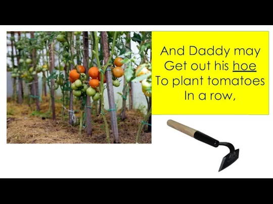 And Daddy may Get out his hoe To plant tomatoes In a row,