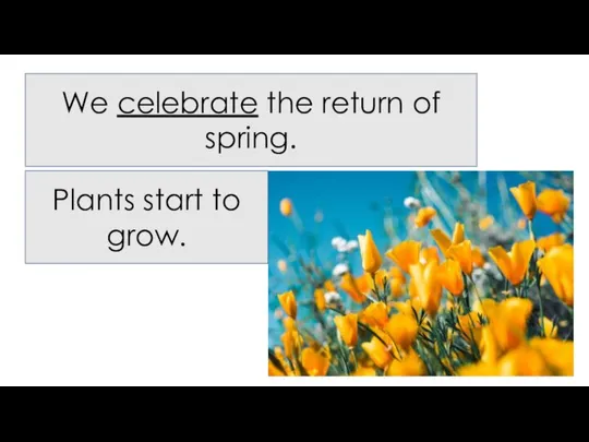 We celebrate the return of spring. Plants start to grow.
