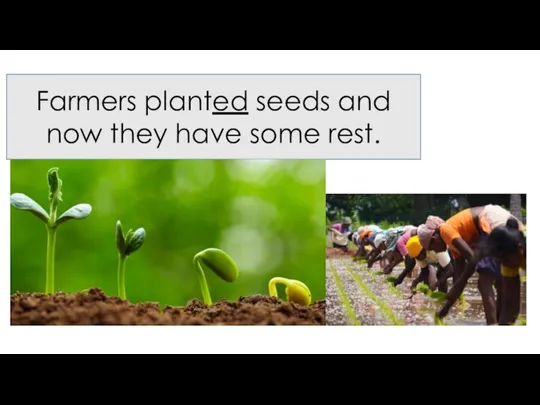 Farmers planted seeds and now they have some rest.