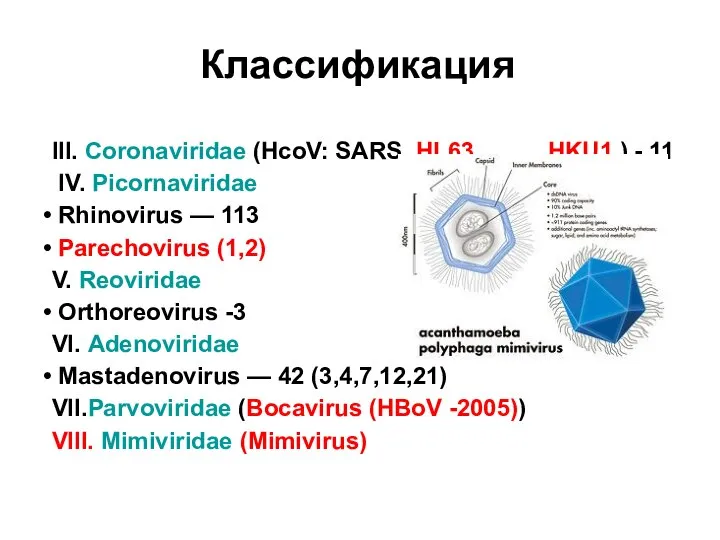 Классификация III. Coronaviridae (HcoV: SARS, HL63, HKU1 ) - 11 IV. Picornaviridae
