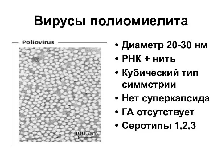 Вирусы полиомиелита Диаметр 20-30 нм РНК + нить Кубический тип симметрии Нет