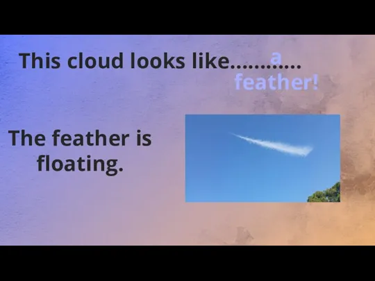 This cloud looks like………… The feather is floating. a feather!