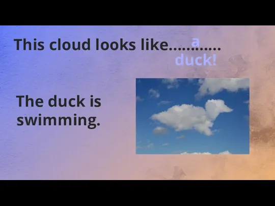 This cloud looks like………… The duck is swimming. a duck!