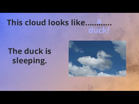 This cloud looks like………… The duck is sleeping. a duck!