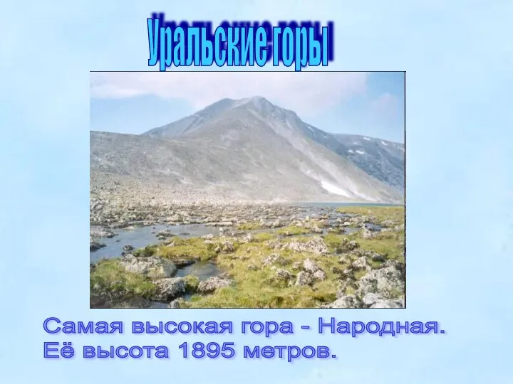 Уральские горы Самая высокая гора - Народная. Её высота 1895 метров.