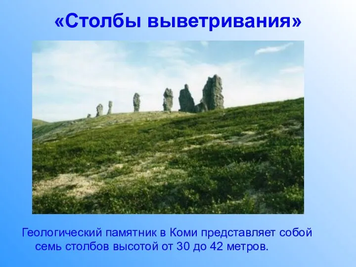 «Столбы выветривания» Геологический памятник в Коми представляет собой семь столбов высотой от 30 до 42 метров.