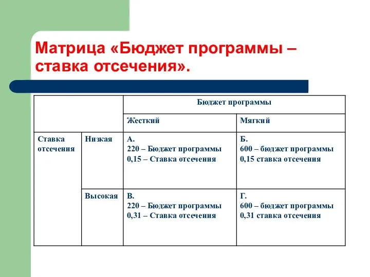 Матрица «Бюджет программы –ставка отсечения».