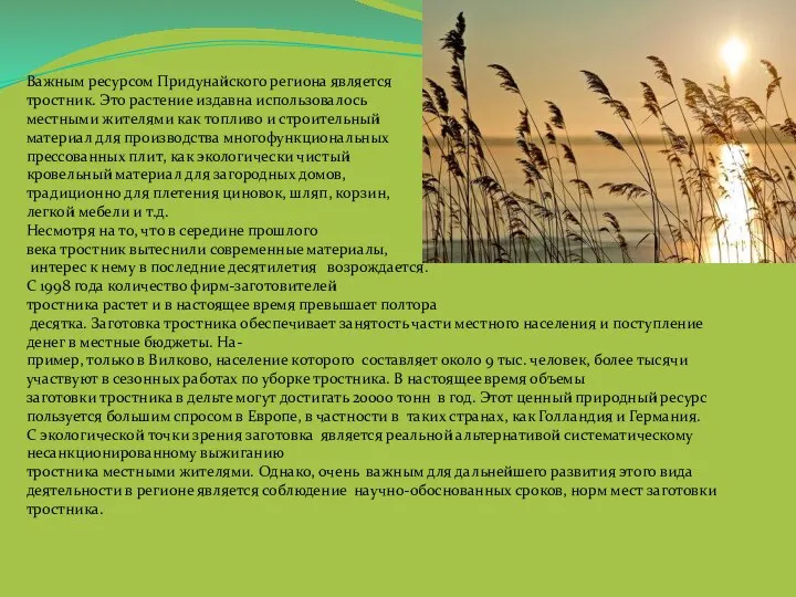 Важным ресурсом Придунайского региона является тростник. Это растение издавна использовалось местными жителями