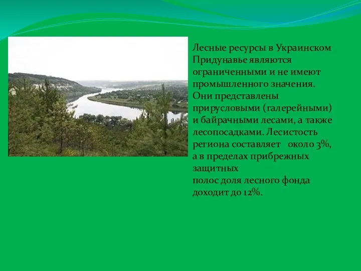 Лесные ресурсы в Украинском Придунавье являются ограниченными и не имеют промышленного значения.