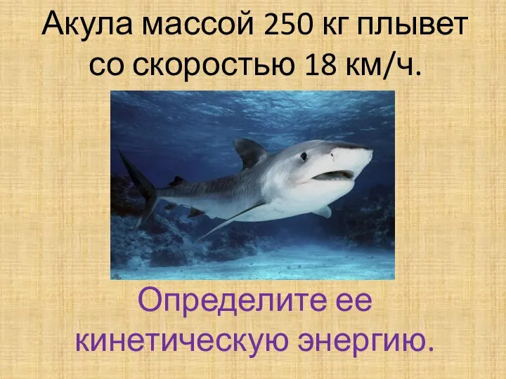 Акула массой 250 кг плывет со скоростью 18 км/ч. Определите ее кинетическую энергию.