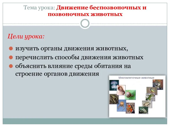 Тема урока: Движение беспозвоночных и позвоночных животных Цели урока: изучить органы движения