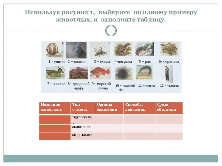 Используя рисунок 1, выберите по одному примеру животных, и заполните таблицу.