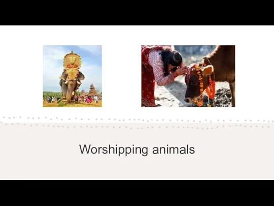 Worshipping animals