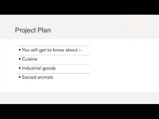 Project Plan