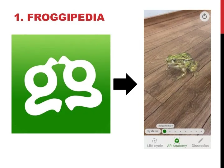 1. FROGGIPEDIA