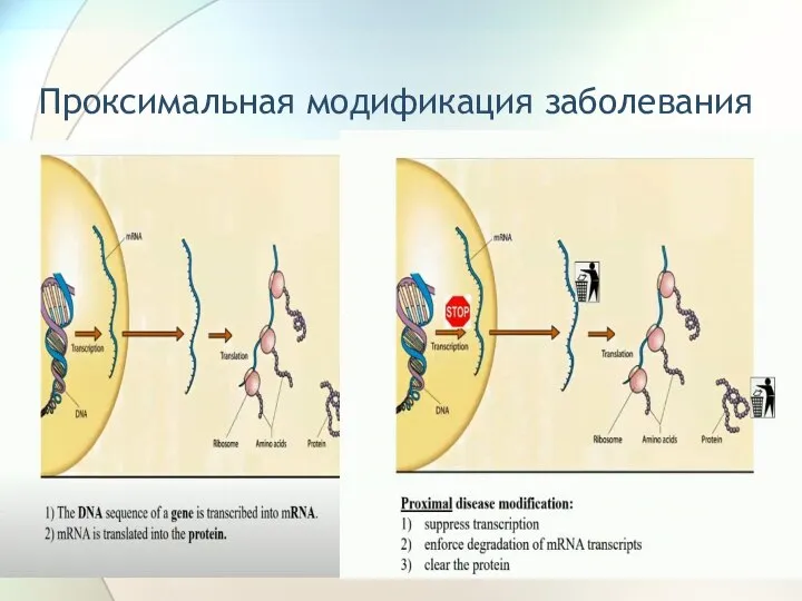 Проксимальная модификация заболевания