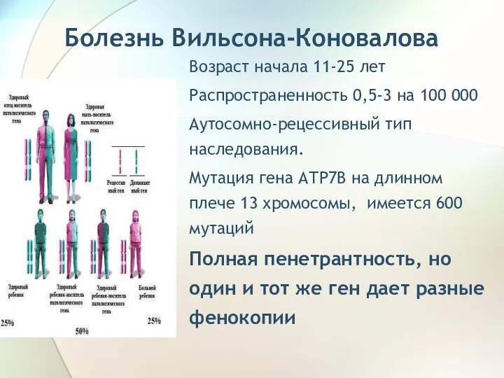 Болезнь Вильсона-Коновалова Возраст начала 11-25 лет Распространенность 0,5-3 на 100 000 Аутосомно-рецессивный