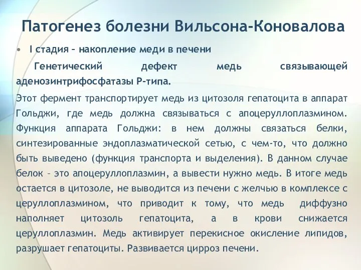 Патогенез болезни Вильсона-Коновалова I стадия – накопление меди в печени Генетический дефект