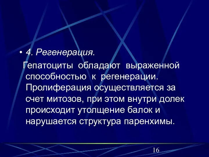 4. Регенерация. Гепатоциты обладают выраженной способностью к регенерации. Пролиферация осуществляется за счет