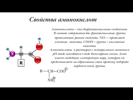 Свойства аминокислот Аминокислоты – это бифункциональные соединения. В составе содержатся две функциональные