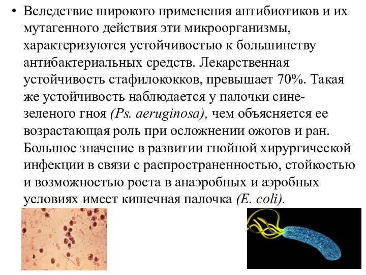 Вследствие широкого применения антибиотиков и их мутагенного действия эти микроорганизмы, характеризуются устойчивостью