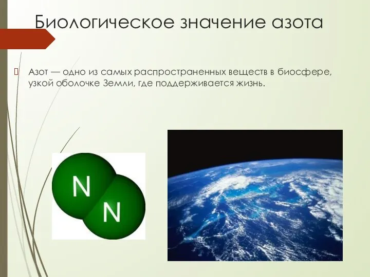 Биологическое значение азота Азот — одно из самых распространенных веществ в биосфере,