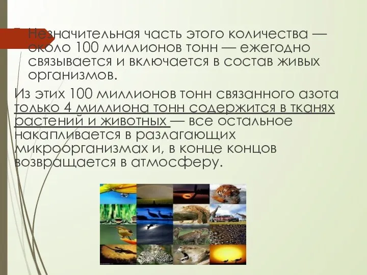 Незначительная часть этого количества — около 100 миллионов тонн — ежегодно связывается