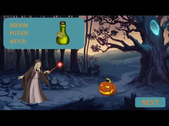 BROOM POTION WITCH NEXT