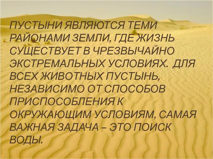 ПУСТЫНИ ЯВЛЯЮТСЯ ТЕМИ РАЙОНАМИ ЗЕМЛИ, ГДЕ ЖИЗНЬ СУЩЕСТВУЕТ В ЧРЕЗВЫЧАЙНО ЭКСТРЕМАЛЬНЫХ УСЛОВИЯХ.