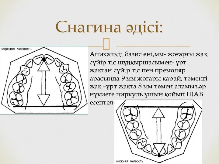 Снагина әдісі: Апикальді базис ені,мм- жоғарғы жақ сүйір тіс шұңқыршасымен- ұрт жақтан