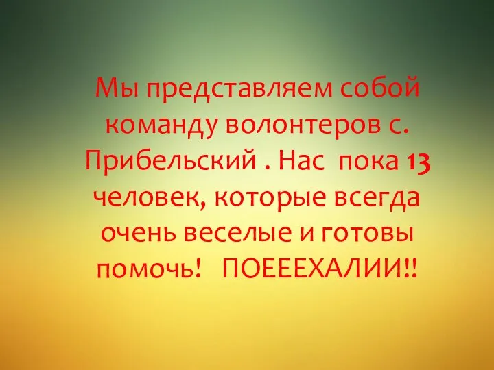 Мы представляем собой команду волонтеров с. Прибельский . Нас пока 13 человек,