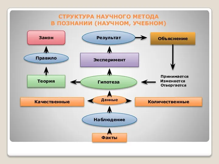 СТРУКТУРА НАУЧНОГО МЕТОДА В ПОЗНАНИИ (НАУЧНОМ, УЧЕБНОМ) Факты Качественные Наблюдение Количественные Гипотеза