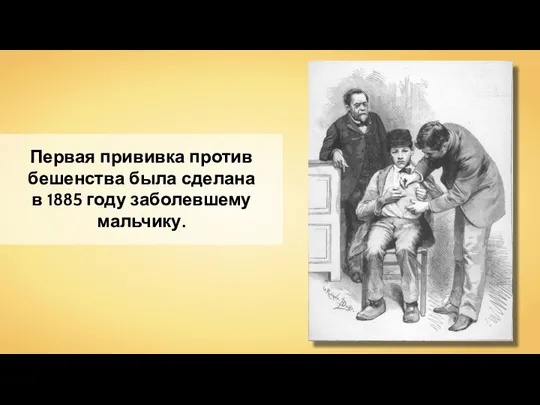 Первая прививка против бешенства была сделана в 1885 году заболевшему мальчику.