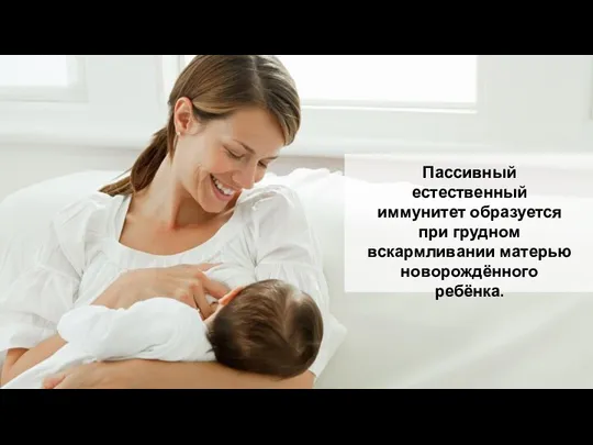 Пассивный естественный иммунитет образуется при грудном вскармливании матерью новорождённого ребёнка.