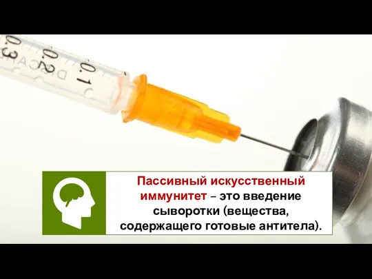 Пассивный искусственный иммунитет – это введение сыворотки (вещества, содержащего готовые антитела).